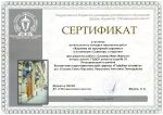 sertif 2